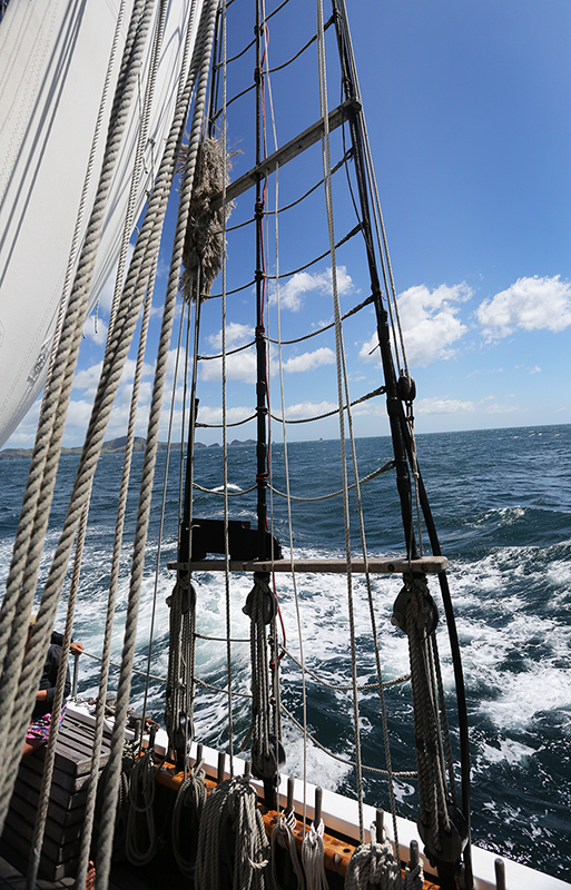 Sail on the R Tucker Thompson, Bay of Islands, NZ